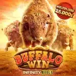 Buffalo Win casino slots